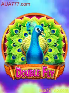 Explorando o Mundo de DoubleFly: Um Jogo Inovador